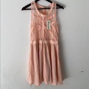 The clothing company Blush pink dress